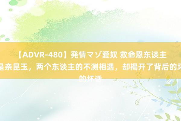 【ADVR-480】発情マゾ愛奴 救命恩东谈主竟是亲昆玉，两个东谈主的不测相遇，却揭开了背后的坏话