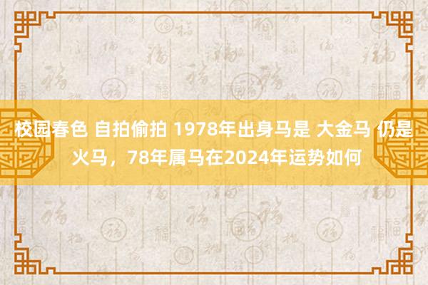 校园春色 自拍偷拍 1978年出身马是 大金马 仍是 火马，78年属马在2024年运势如何