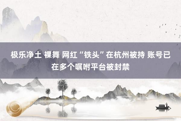 极乐净土 裸舞 网红“铁头”在杭州被持 账号已在多个嘱咐平台被封禁