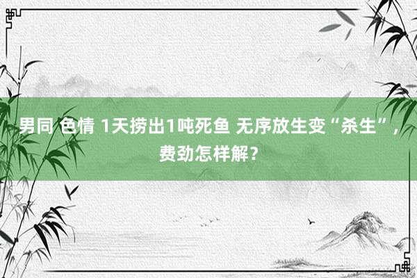 男同 色情 1天捞出1吨死鱼 无序放生变“杀生”，费劲怎样解？