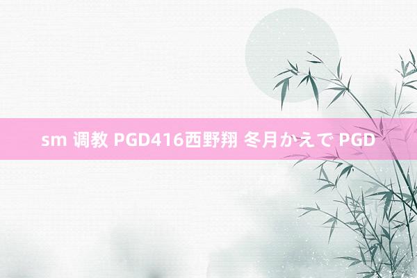 sm 调教 PGD416西野翔 冬月かえで PGD